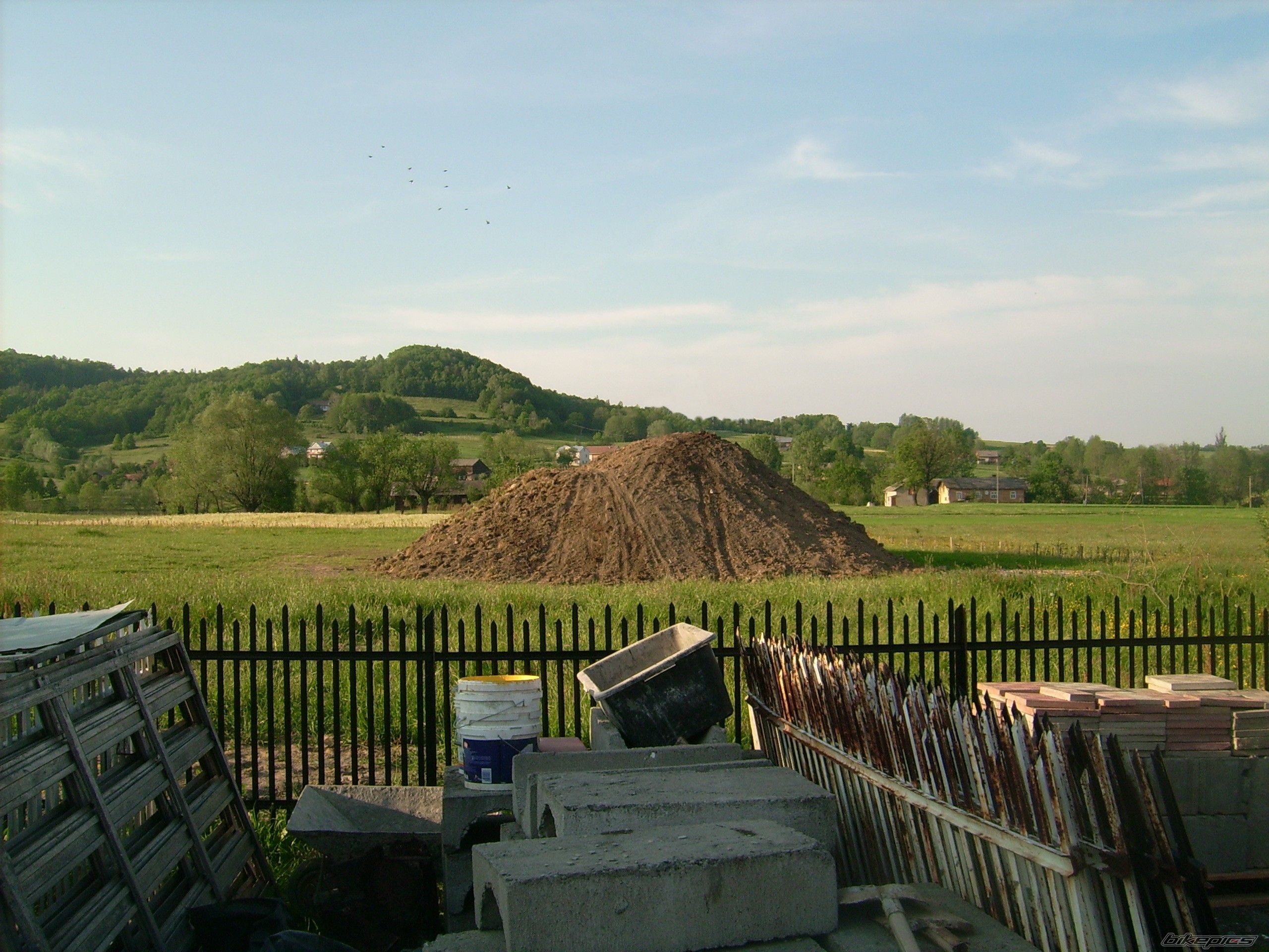 Photo 905932