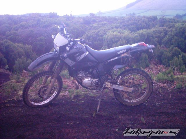 Bike Photo 906089