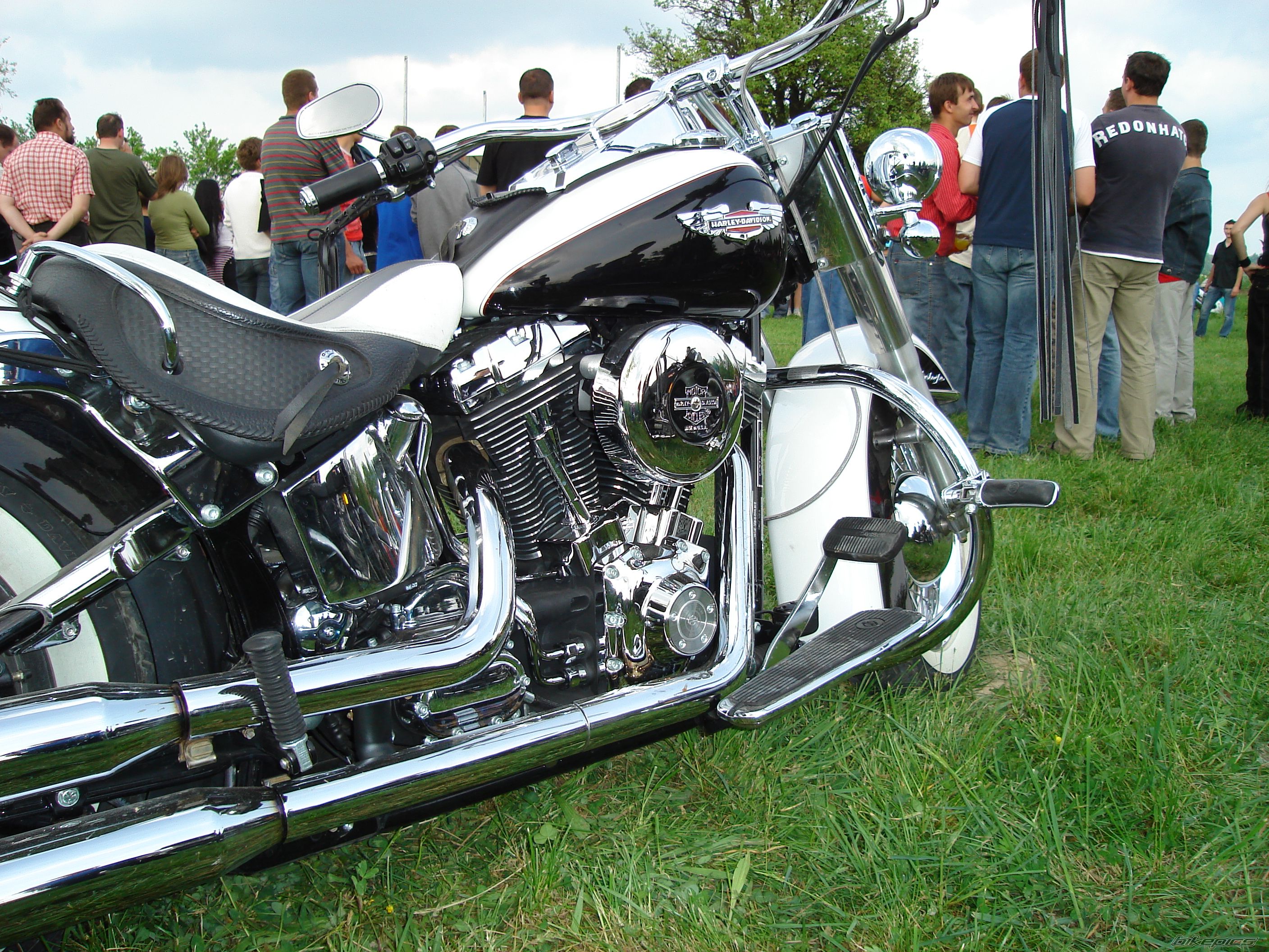 Bike Photo 906221