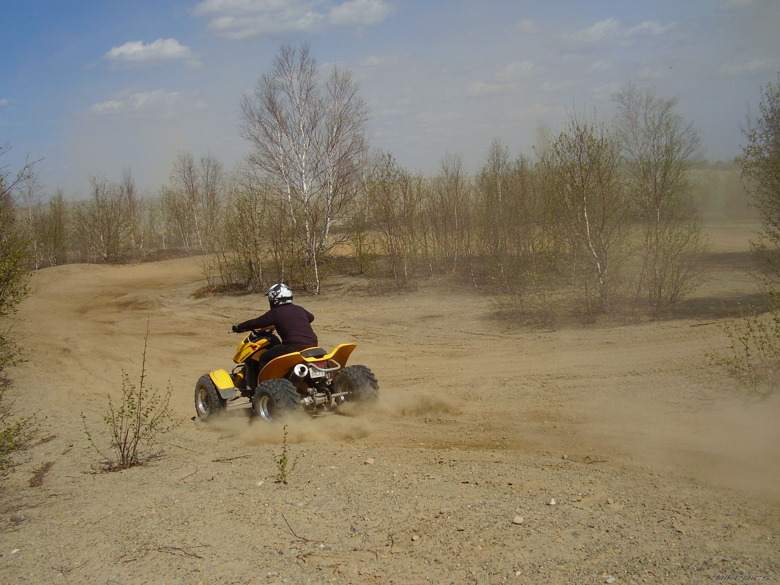 Photo 906232
