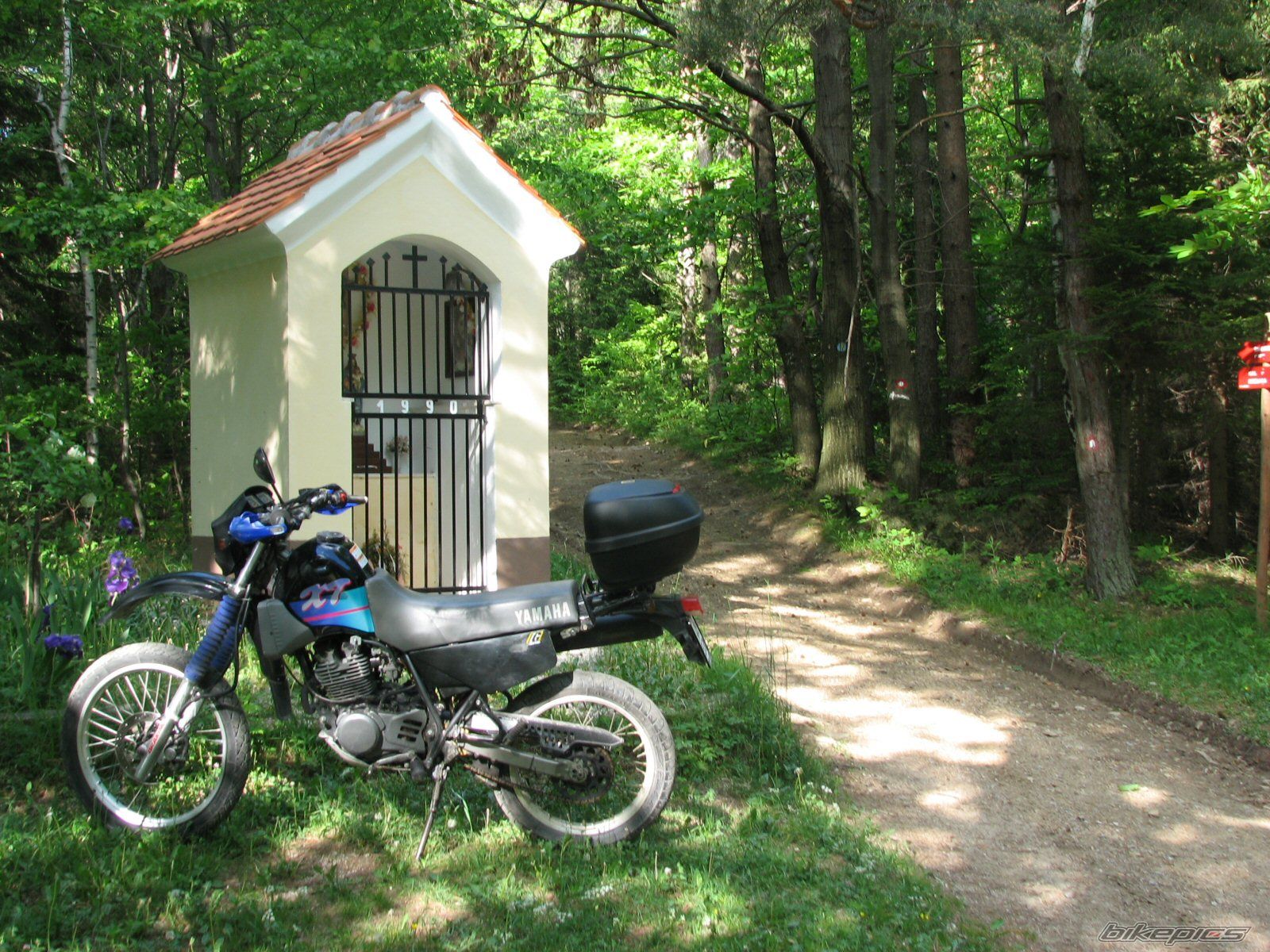 Bike Photo 906285