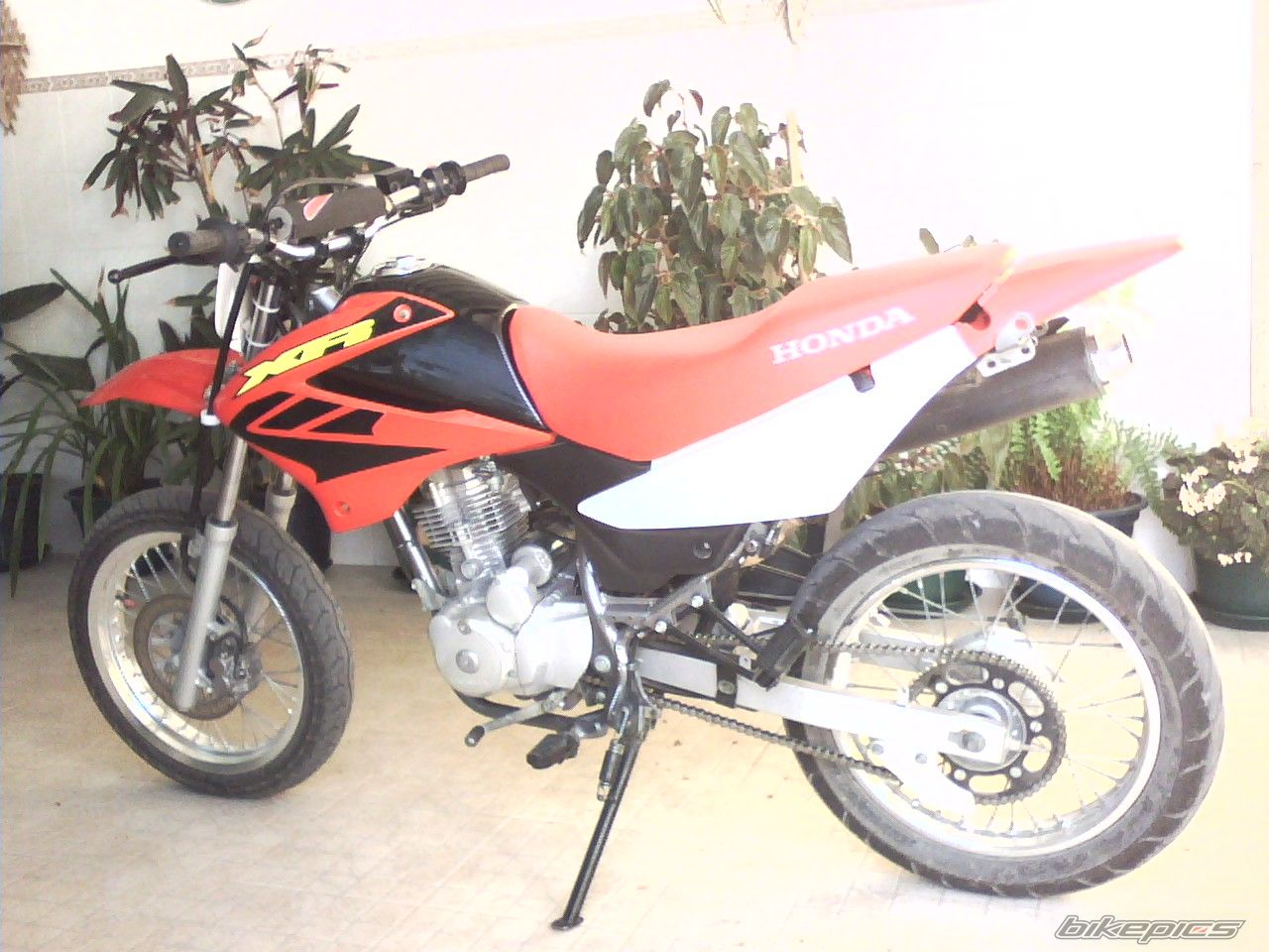 Bike Photo 906338