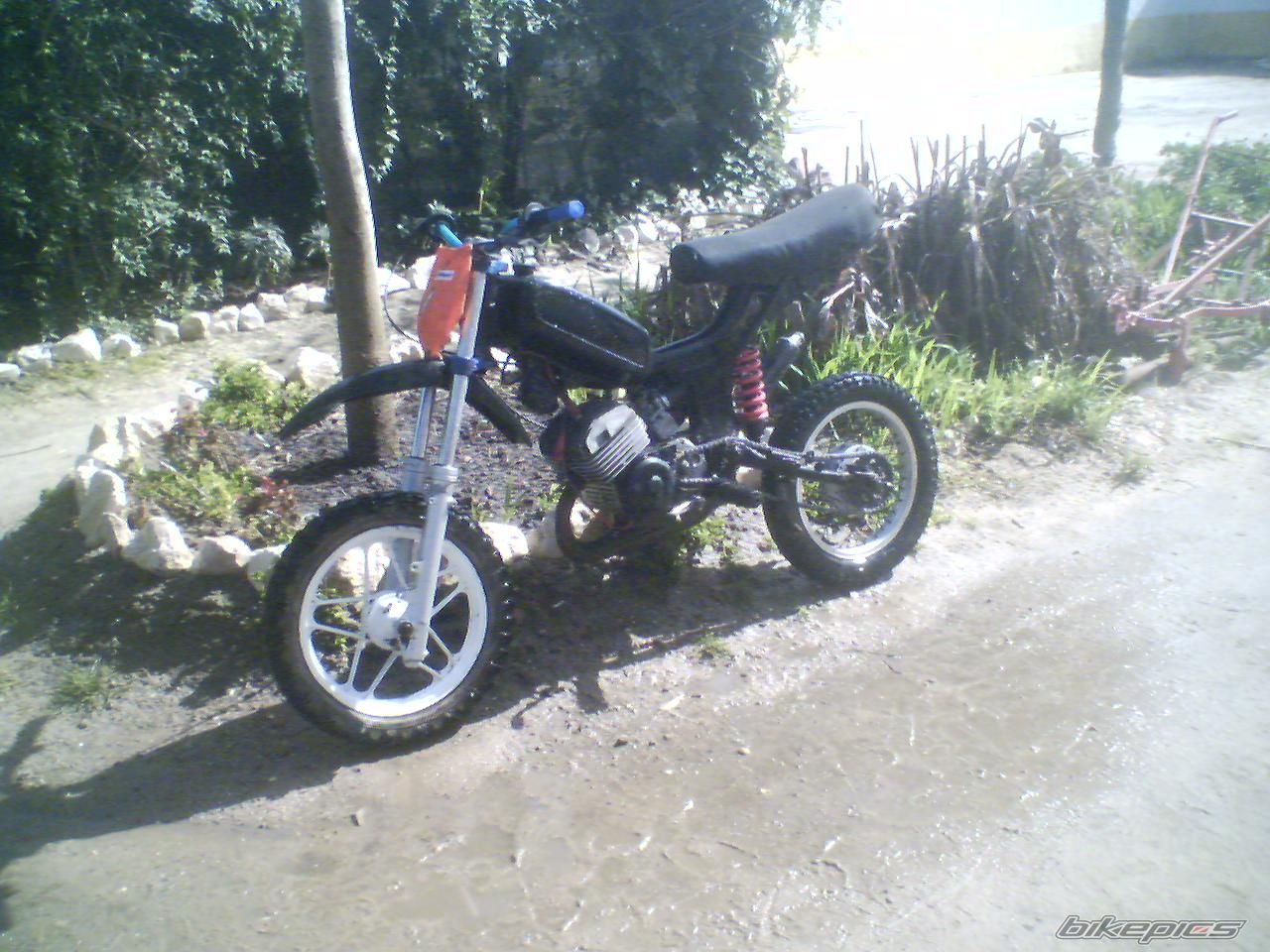 Photo 906414
