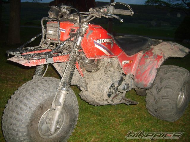 Photo 906453