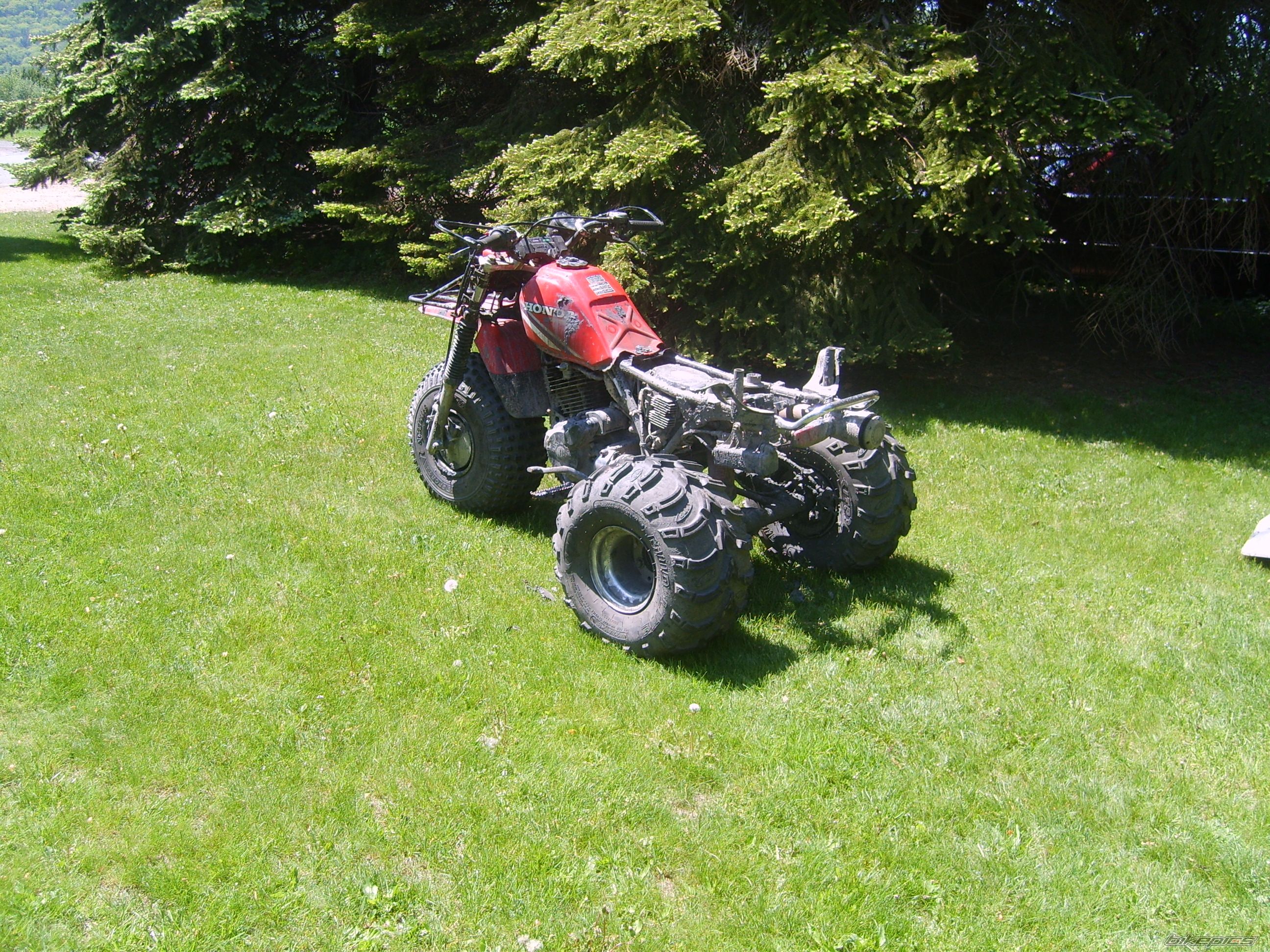 Photo 906456