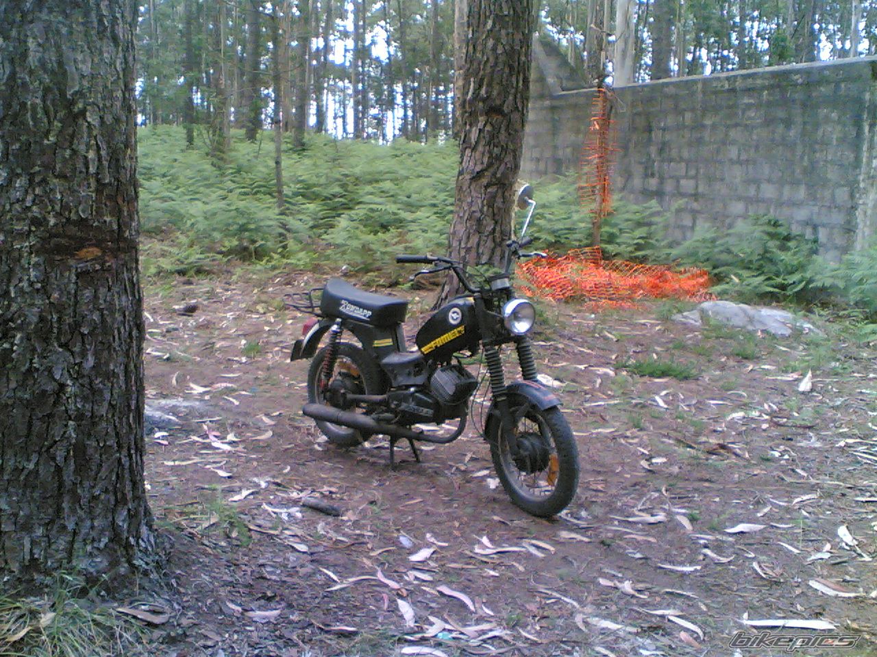 Bike Photo 906472