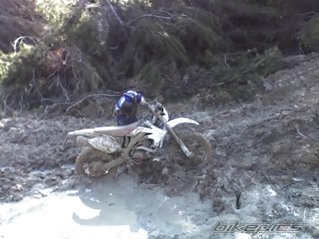 Photo 906491