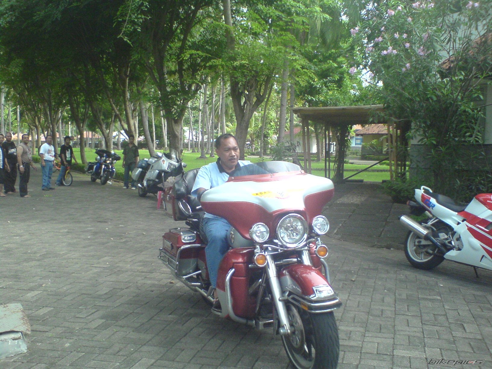 Photo 906655