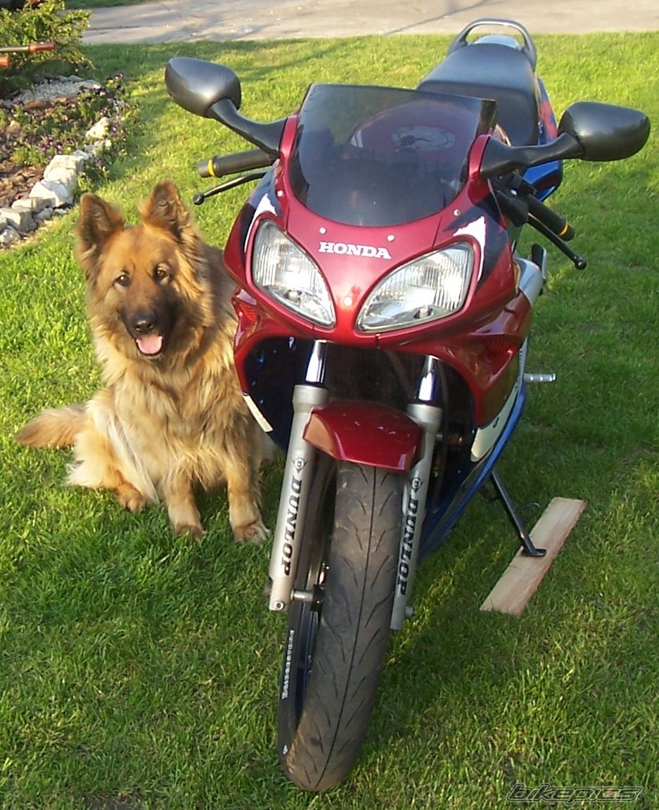 Bike Photo 907411