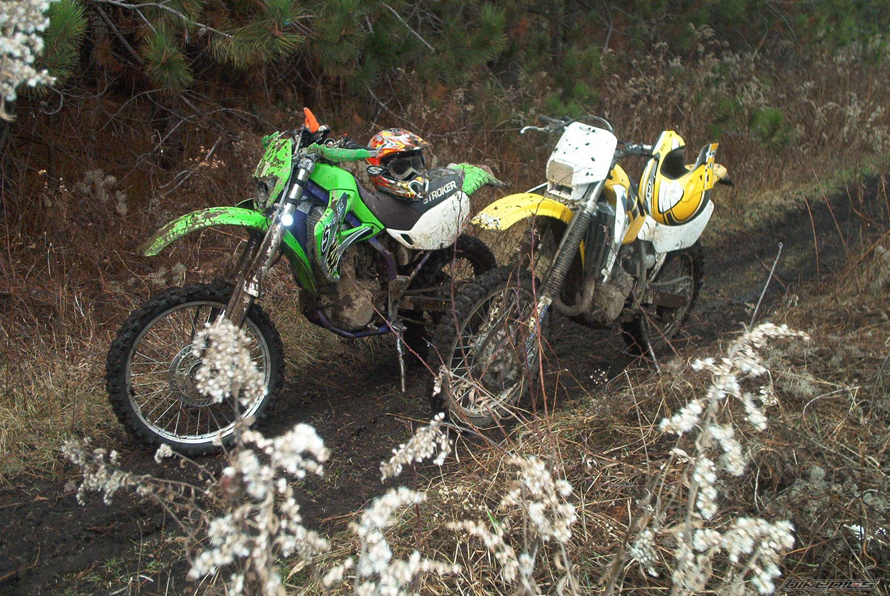 Photo 90742