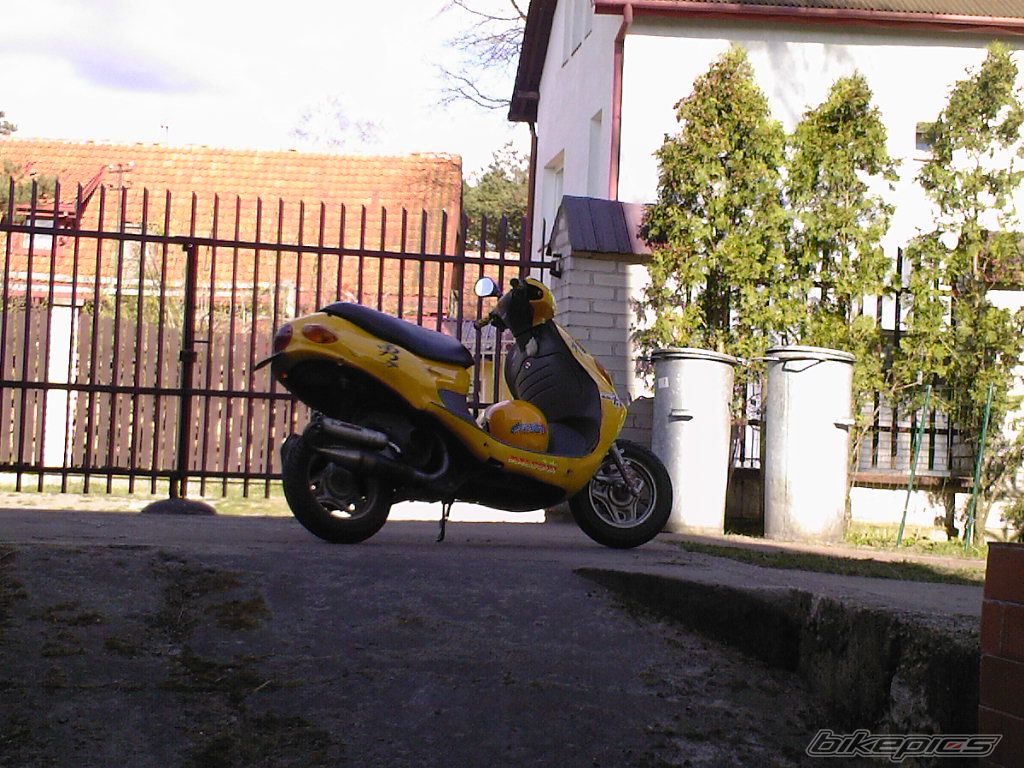 Photo 907449