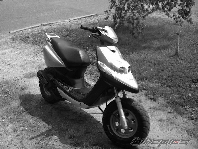 Photo 907782