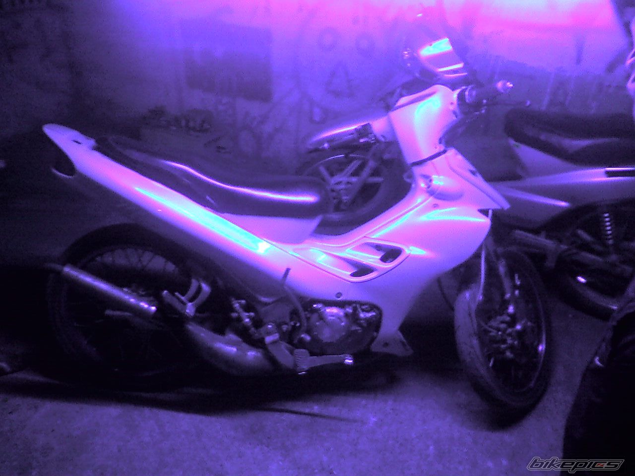 Photo 907824