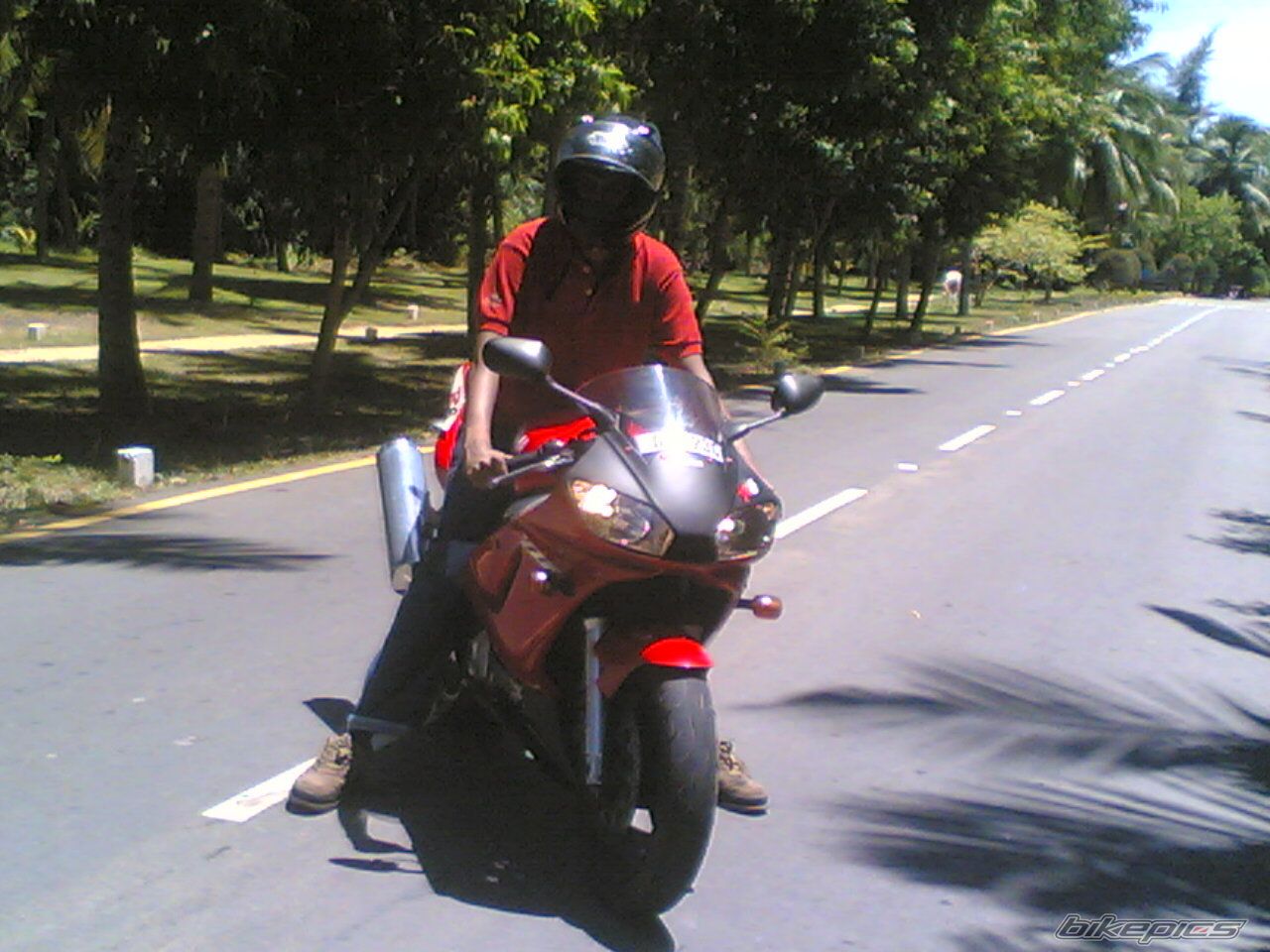 Photo 907909