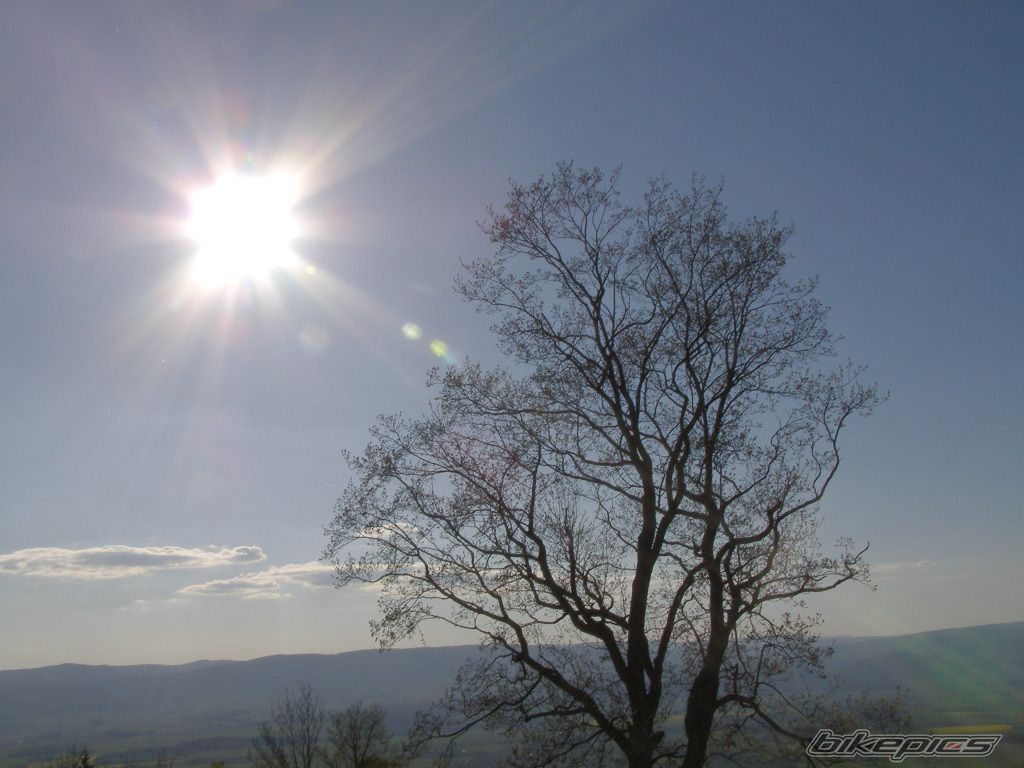 Photo 908150