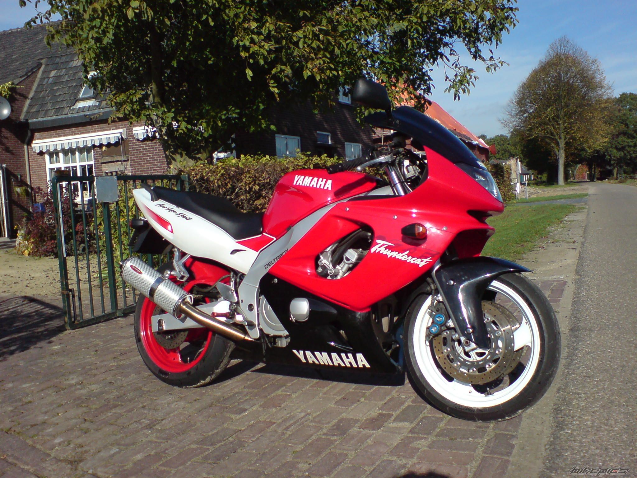 Bike Photo 908239