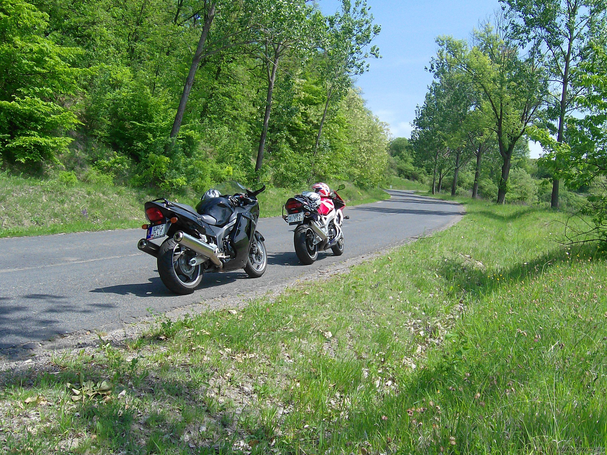 Photo 908261