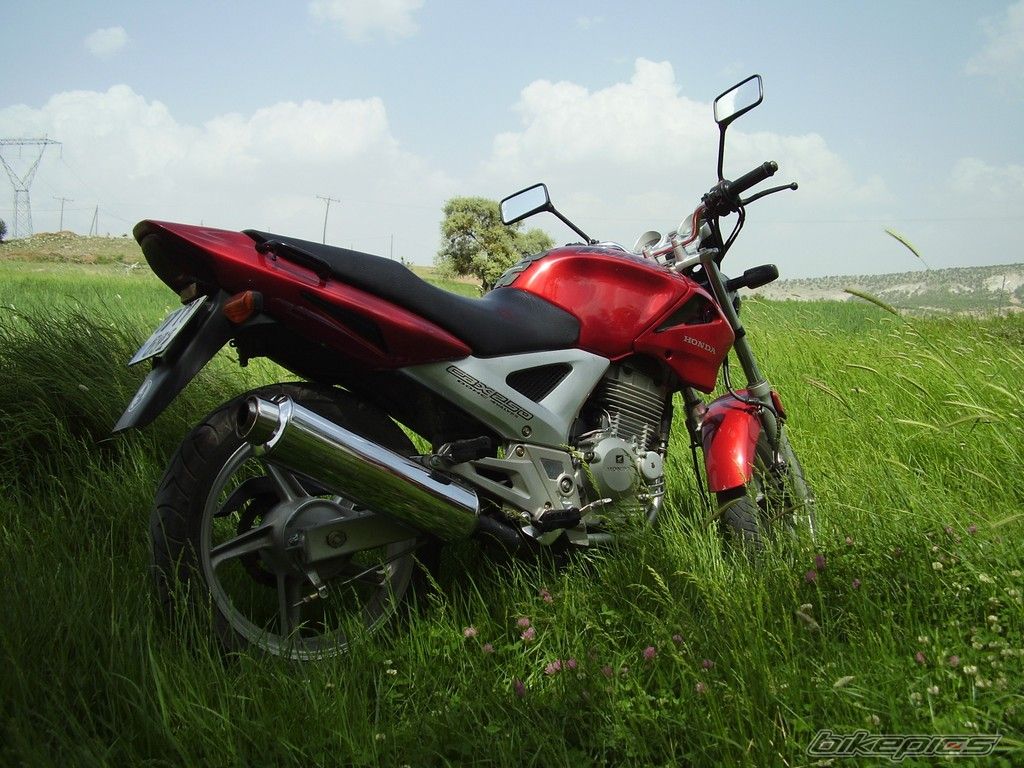 Photo 908397