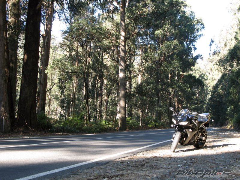Bike Photo 908530