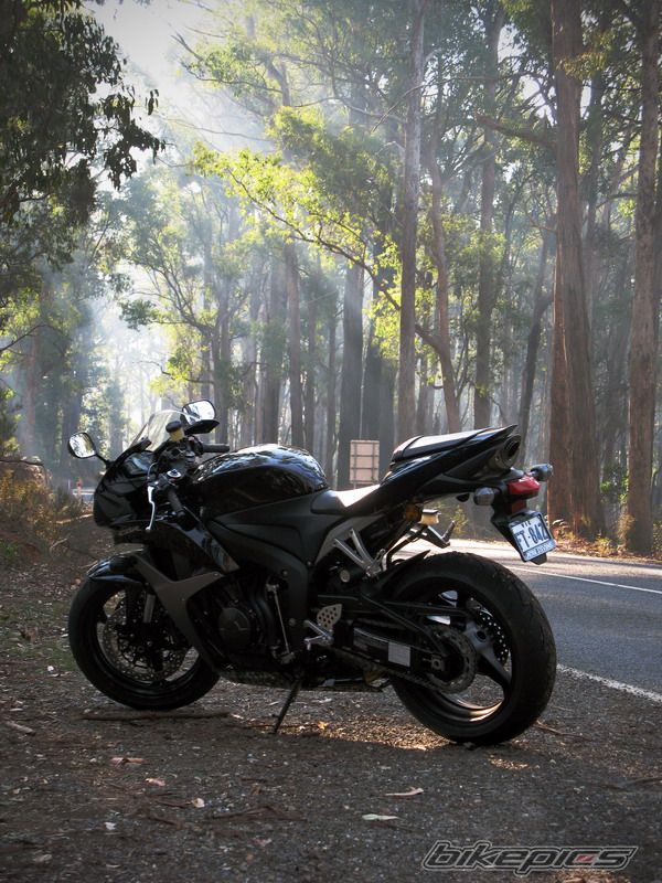 Bike Photo 908532
