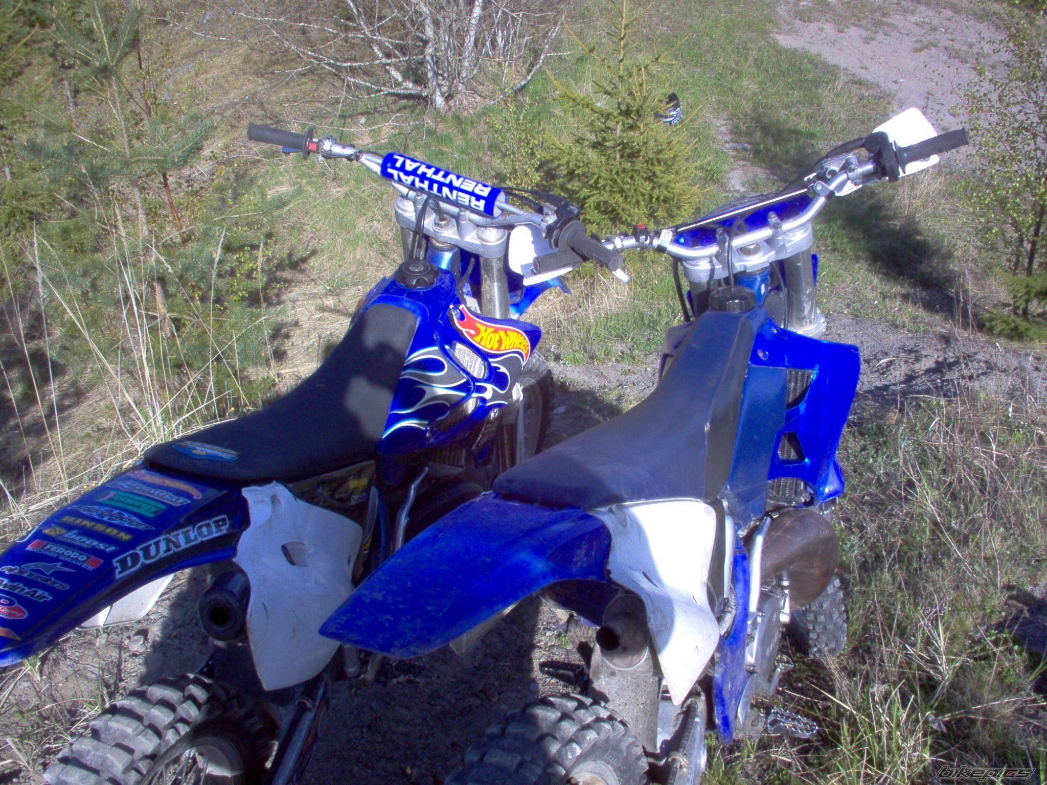 Photo 909002