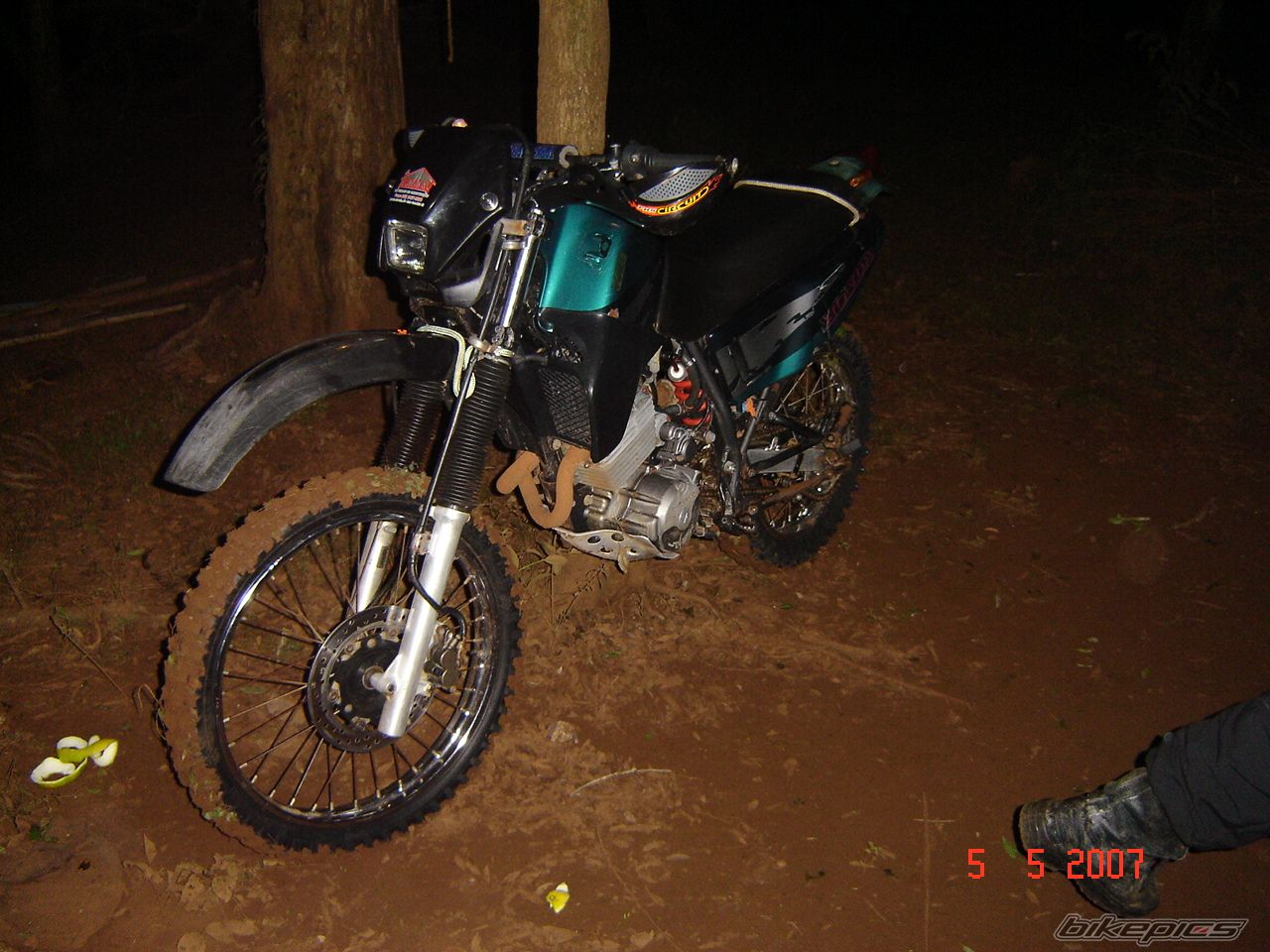 Photo 909043