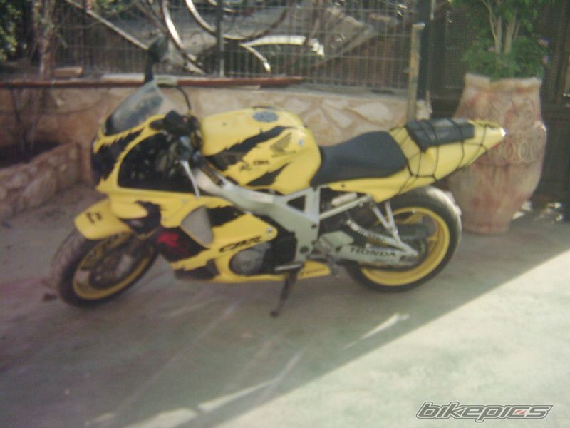 Photo 909072