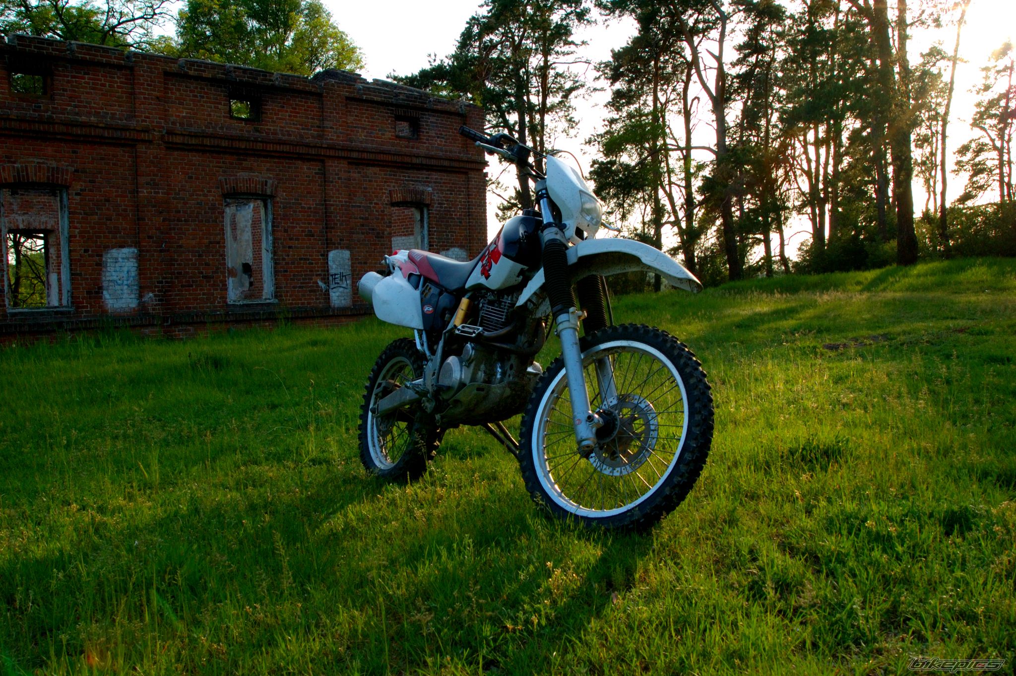 Bike Photo 909321