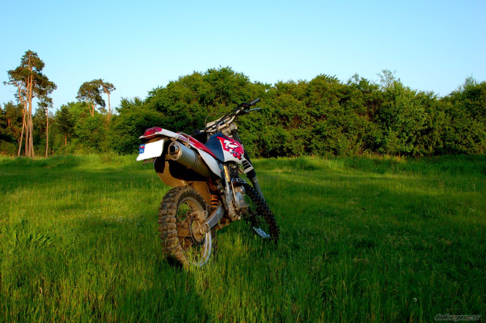 Bike Photo 909323