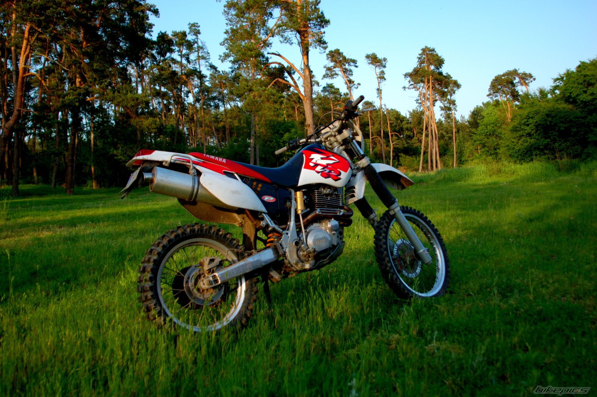 Bike Photo 909326