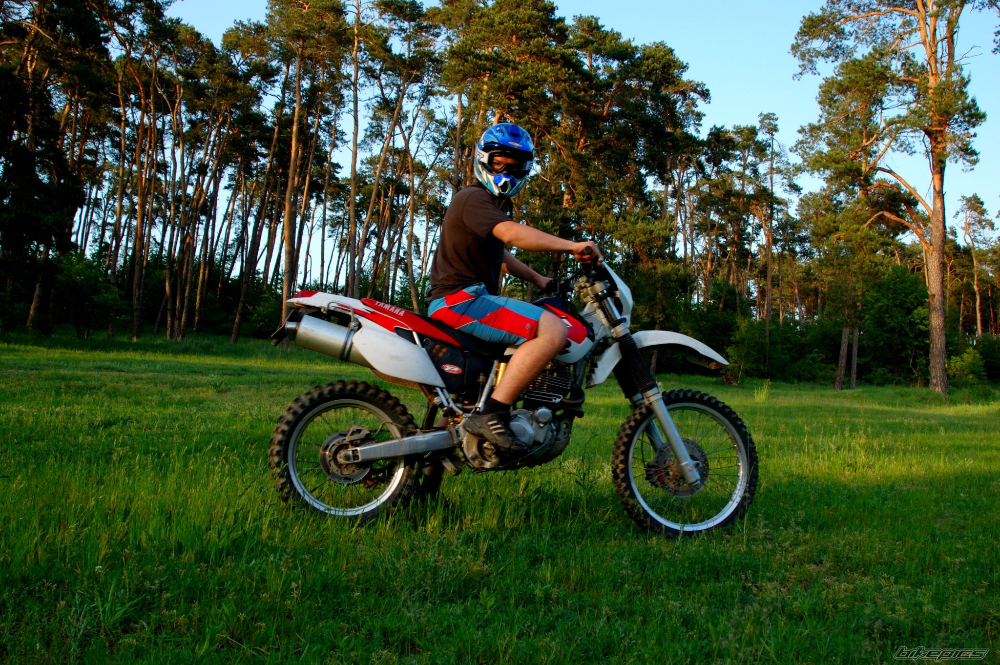 Bike Photo 909329