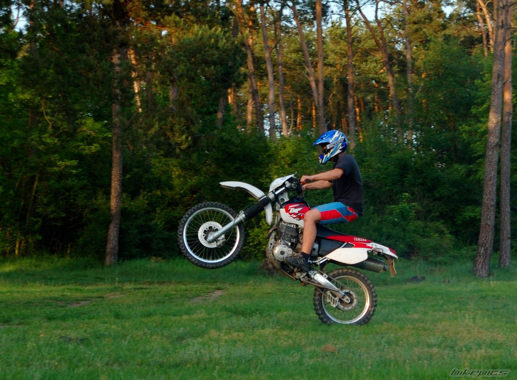 Bike Photo 909330