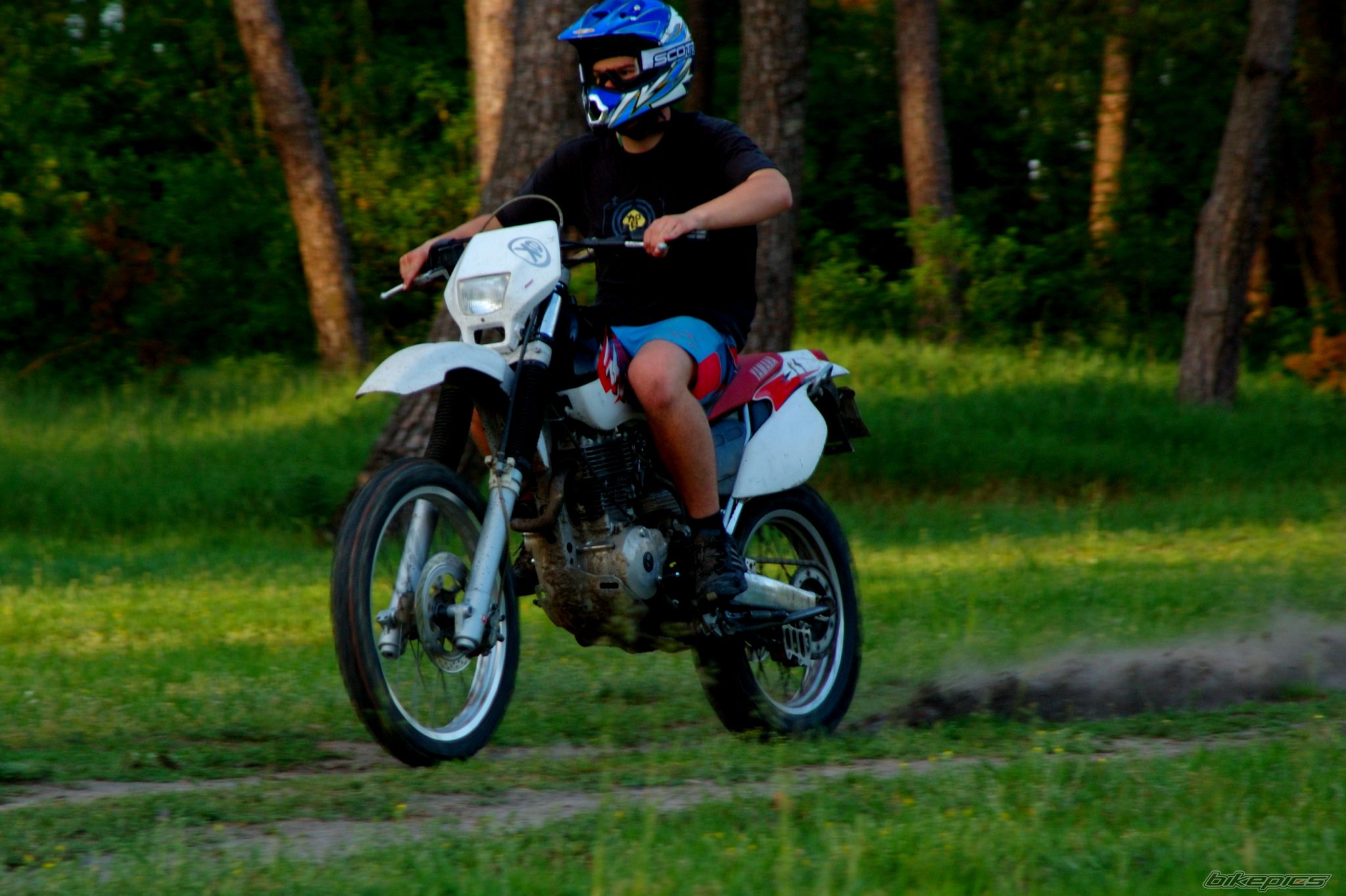 Bike Photo 909331