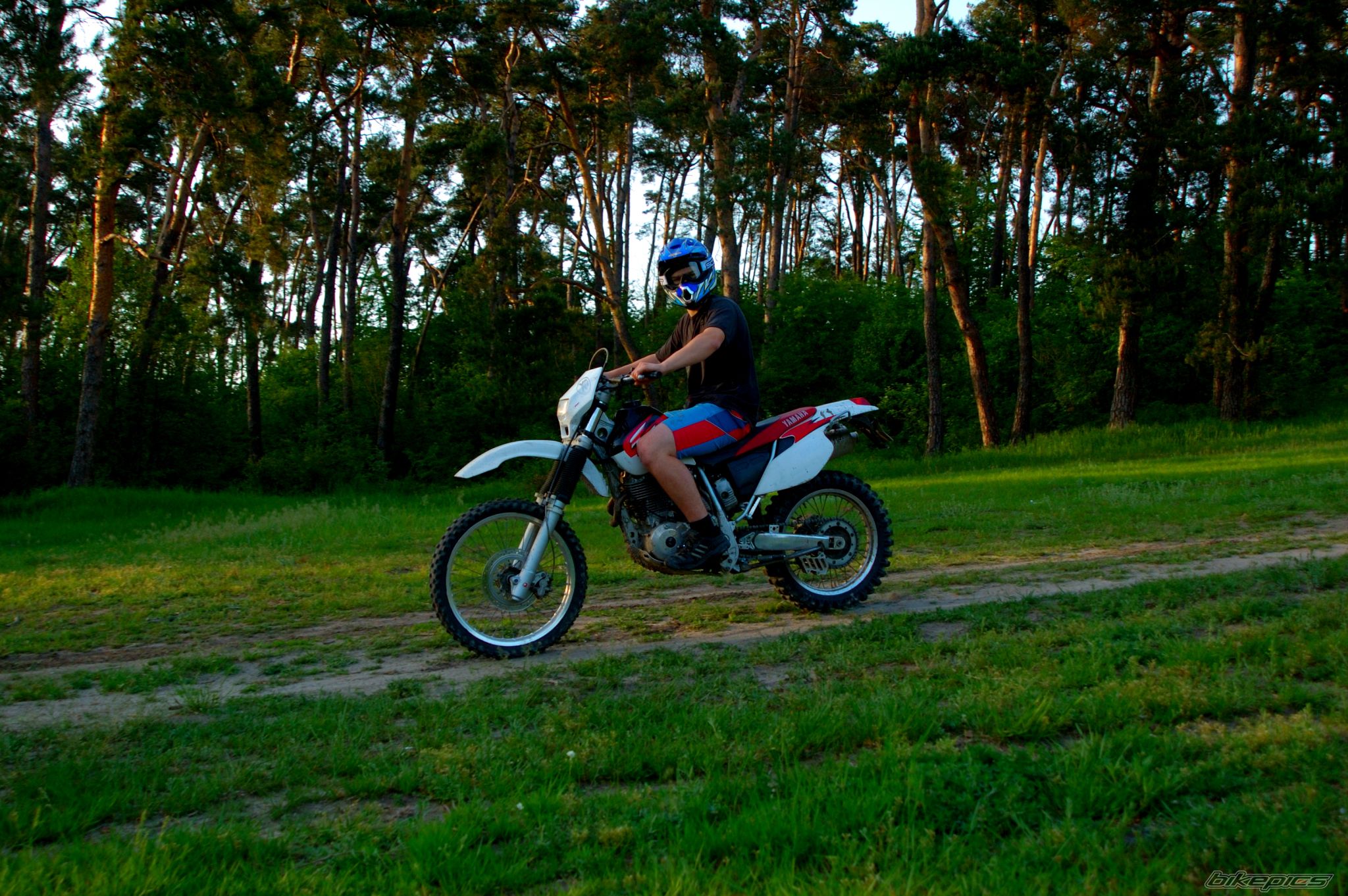 Bike Photo 909334