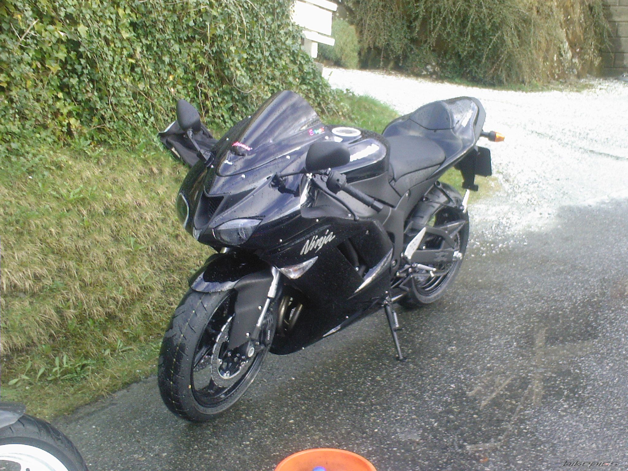 Photo 909433
