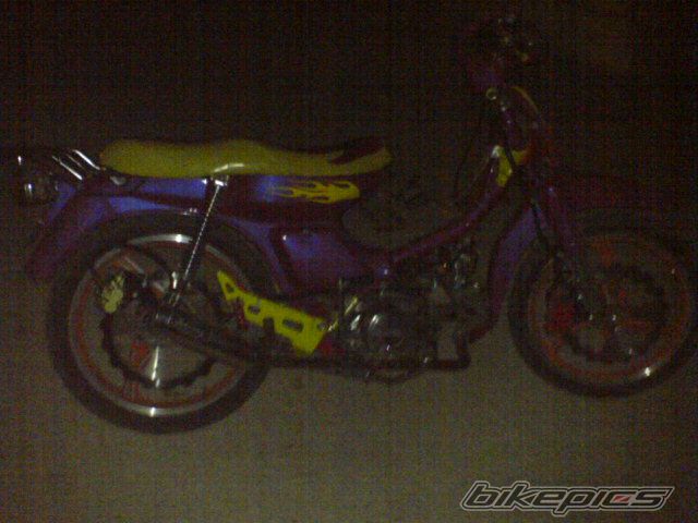 Photo 909465