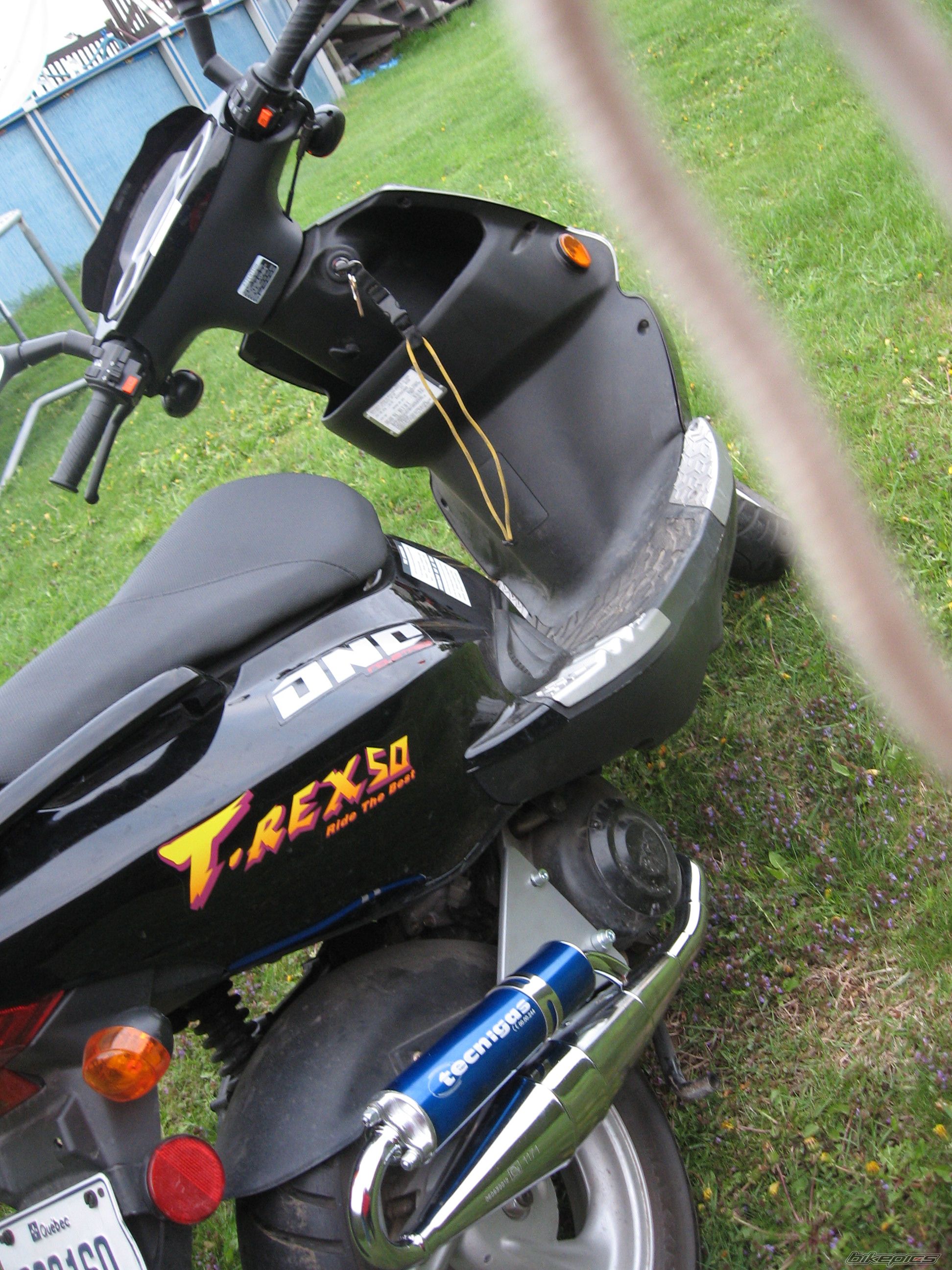 Photo 909538