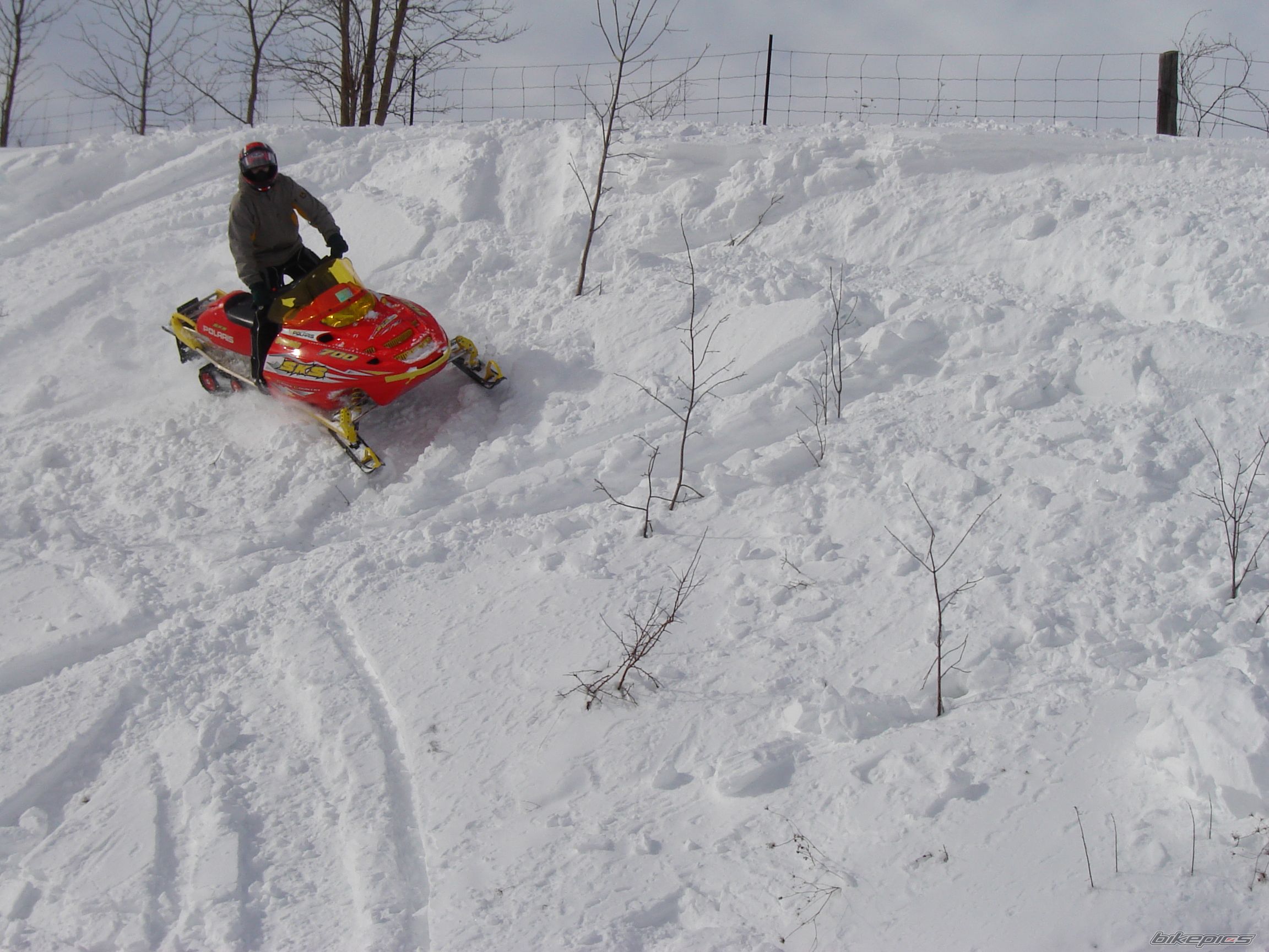 Photo 909705