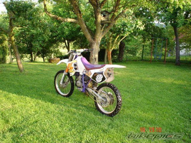 Photo 909807
