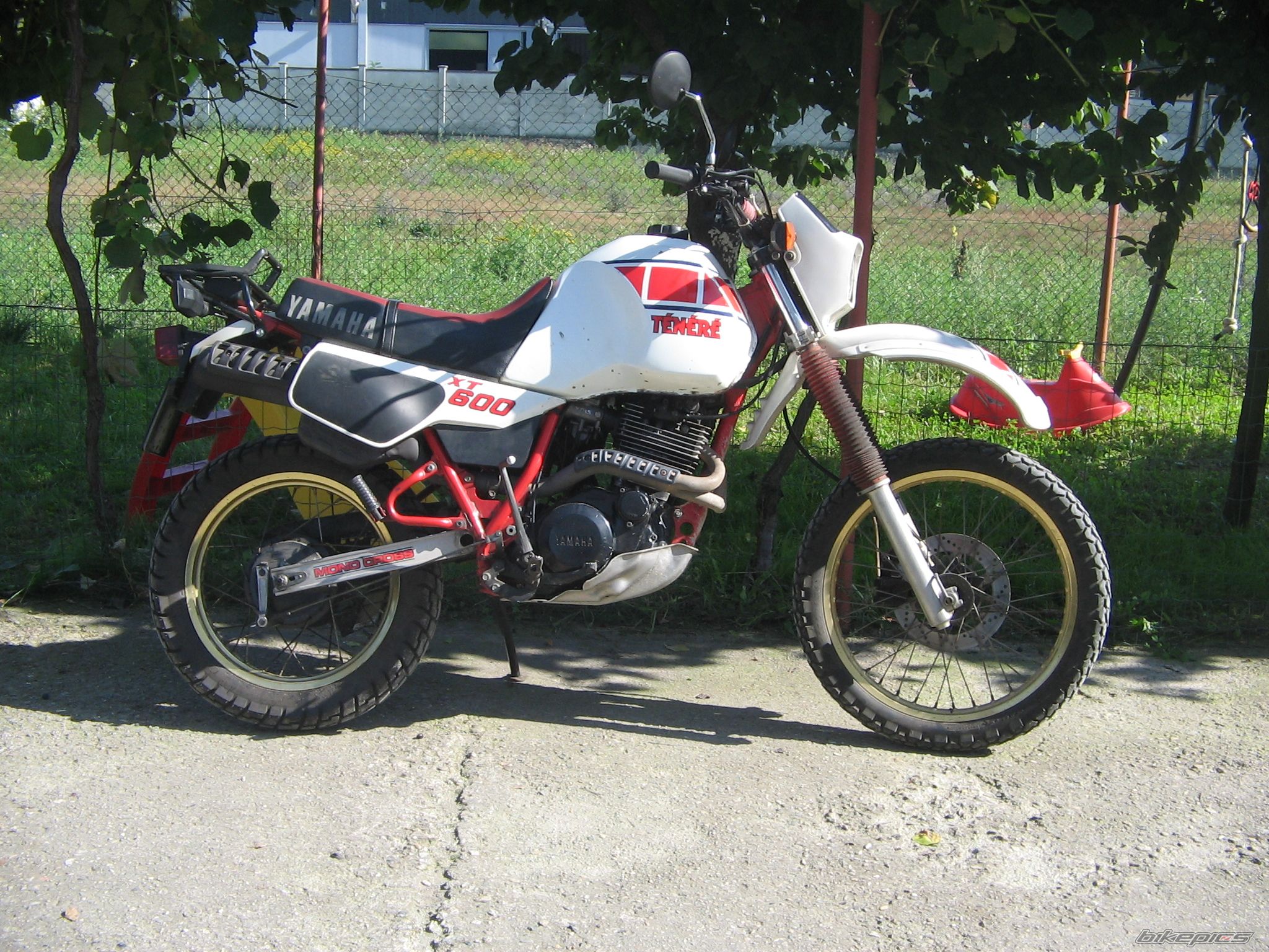 Bike Photo 909990