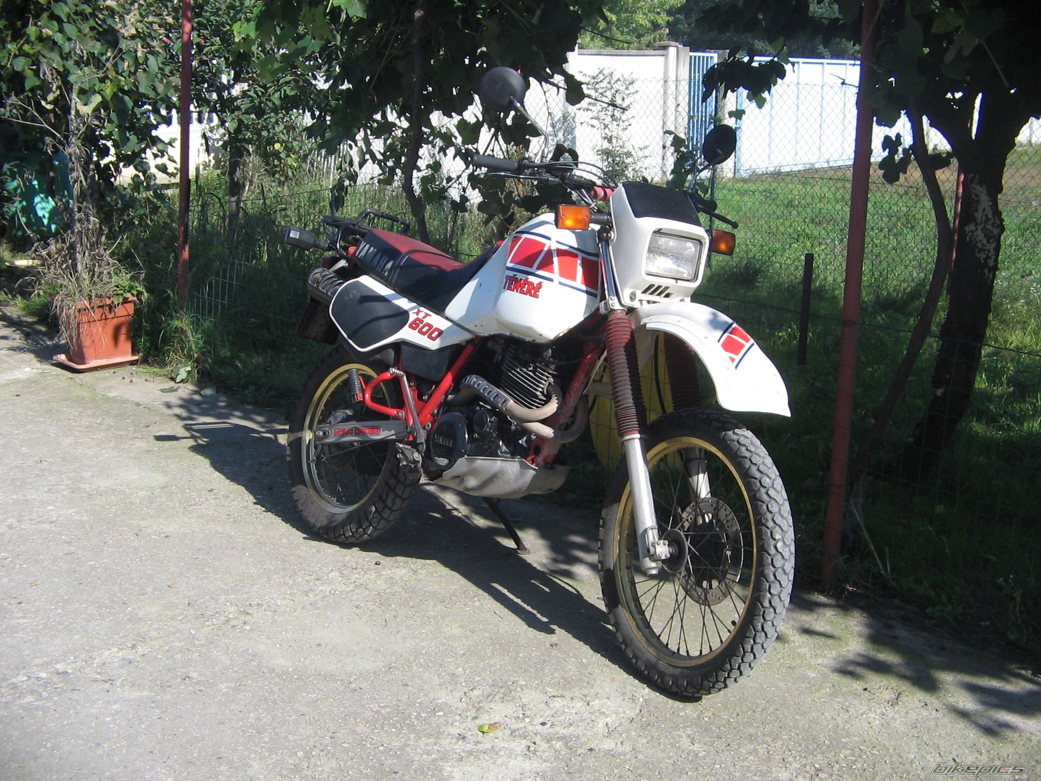 Bike Photo 909991