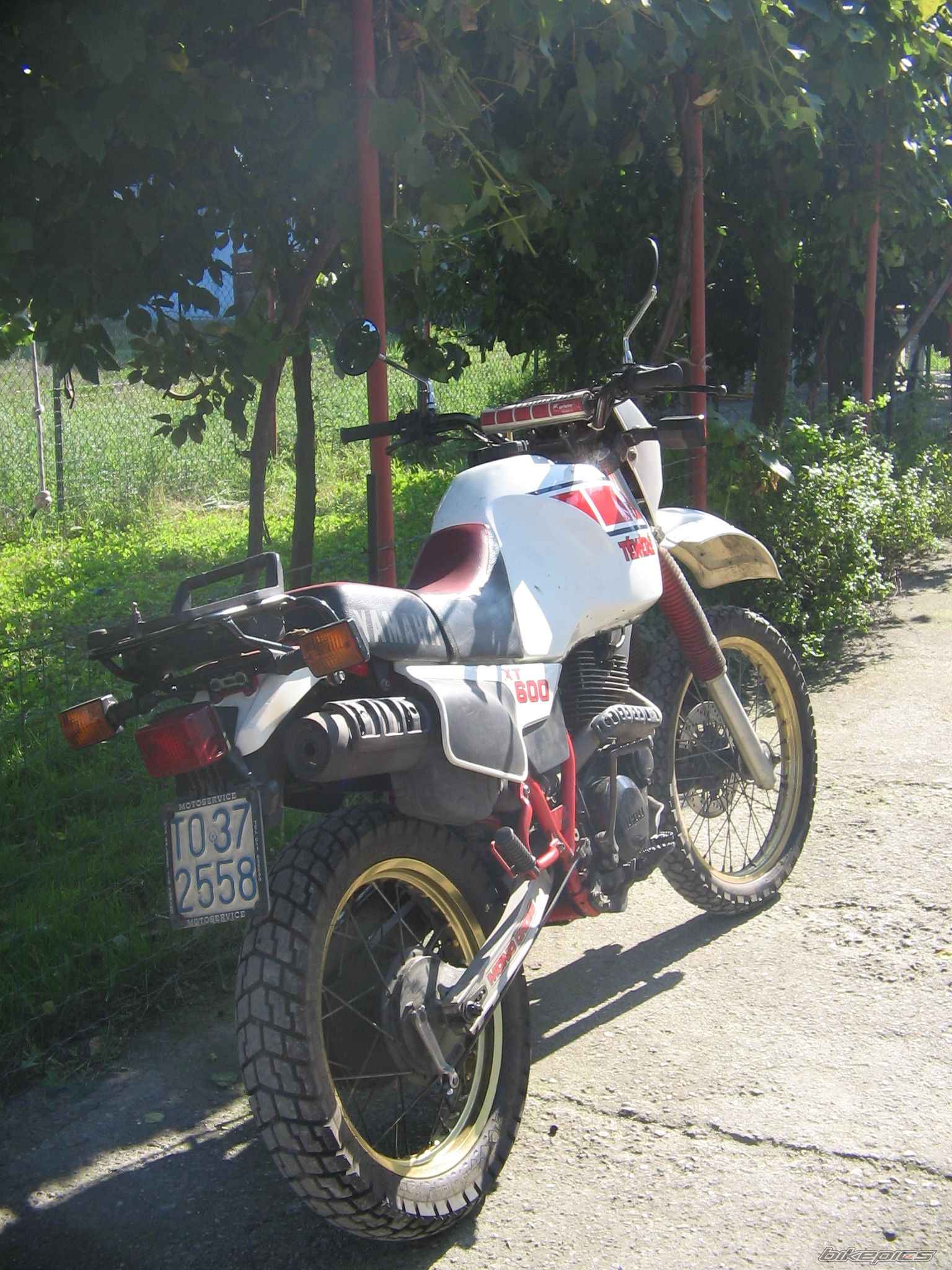 Bike Photo 909992