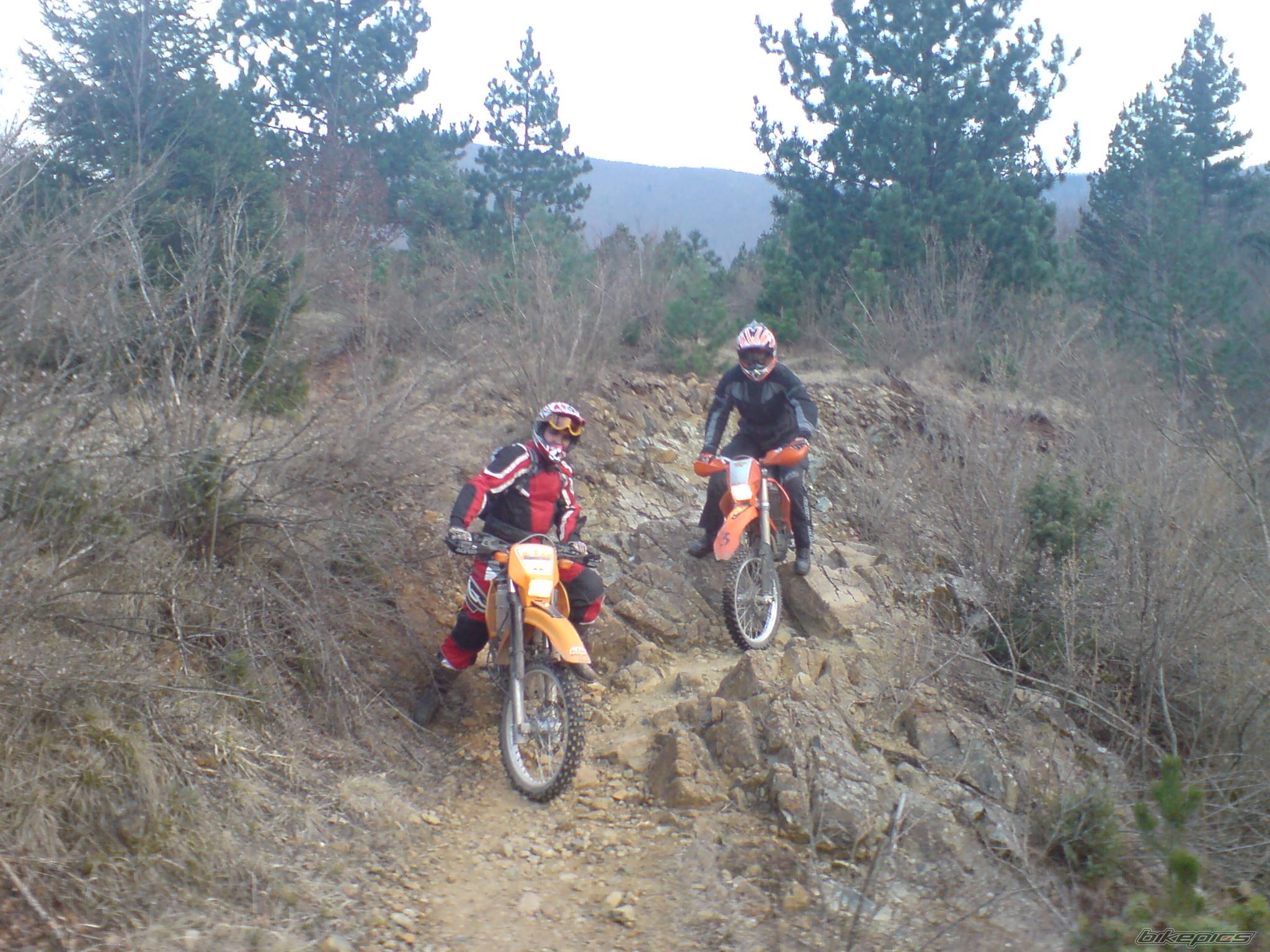 Bike Photo 910013