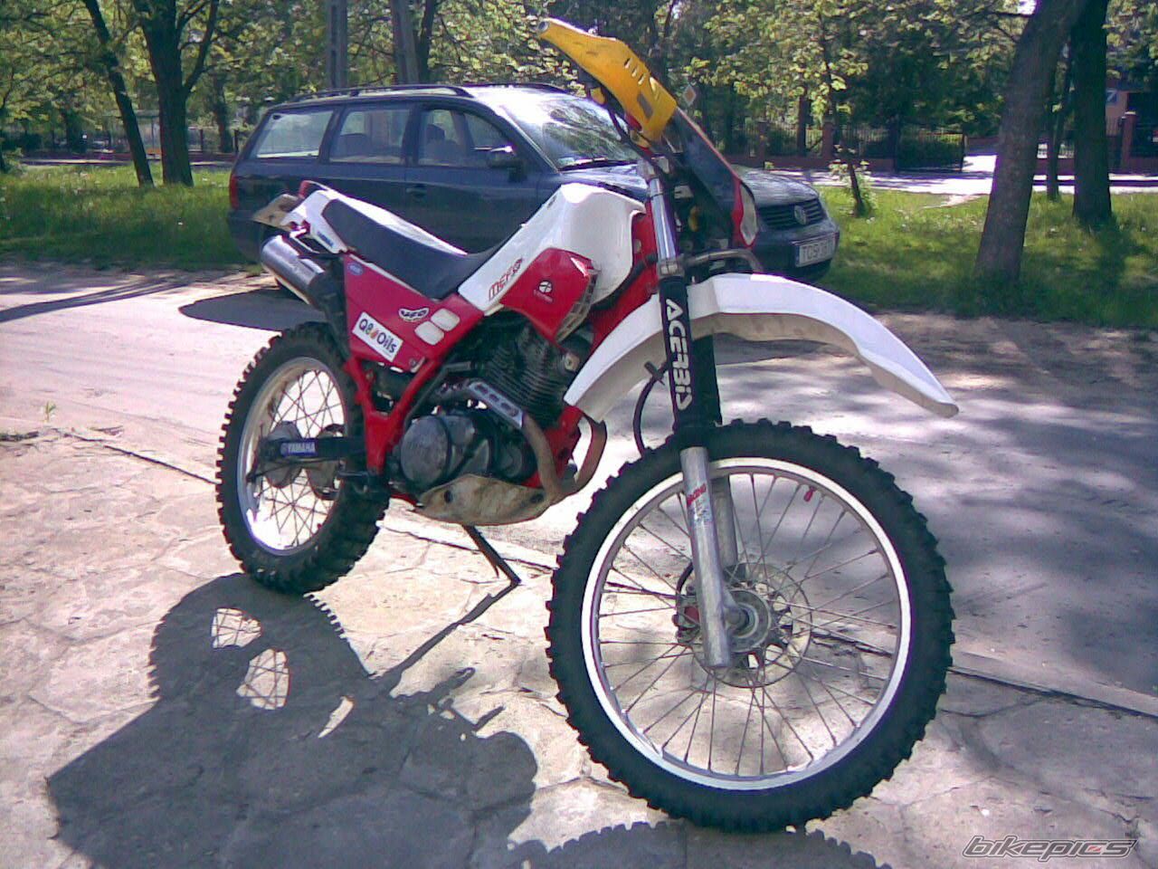 Photo 910053