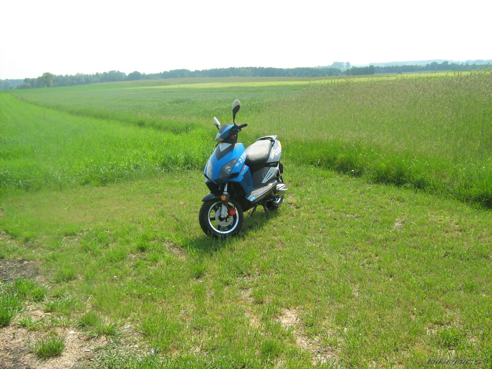 Photo 910061