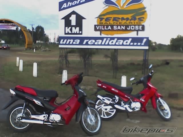 Photo 910186