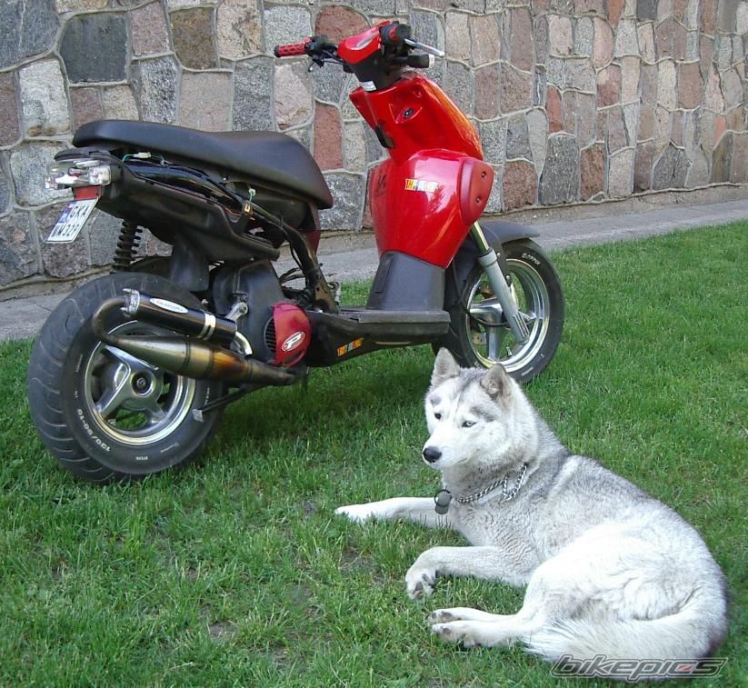 Bike Photo 910345