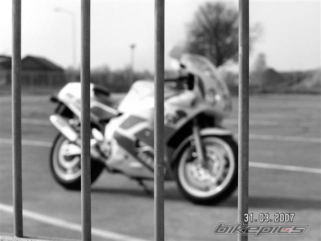 Photo 910442
