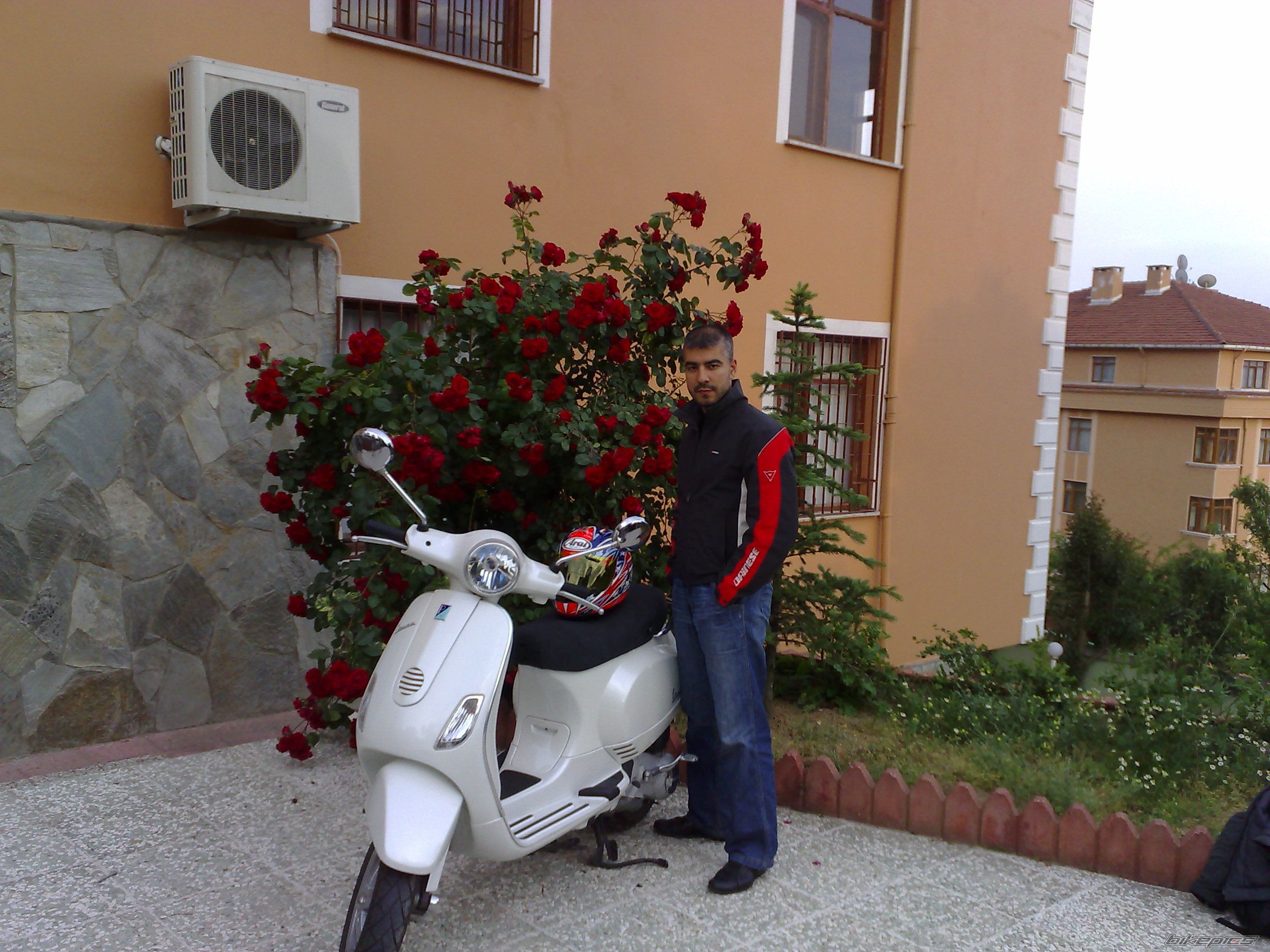 Photo 910668