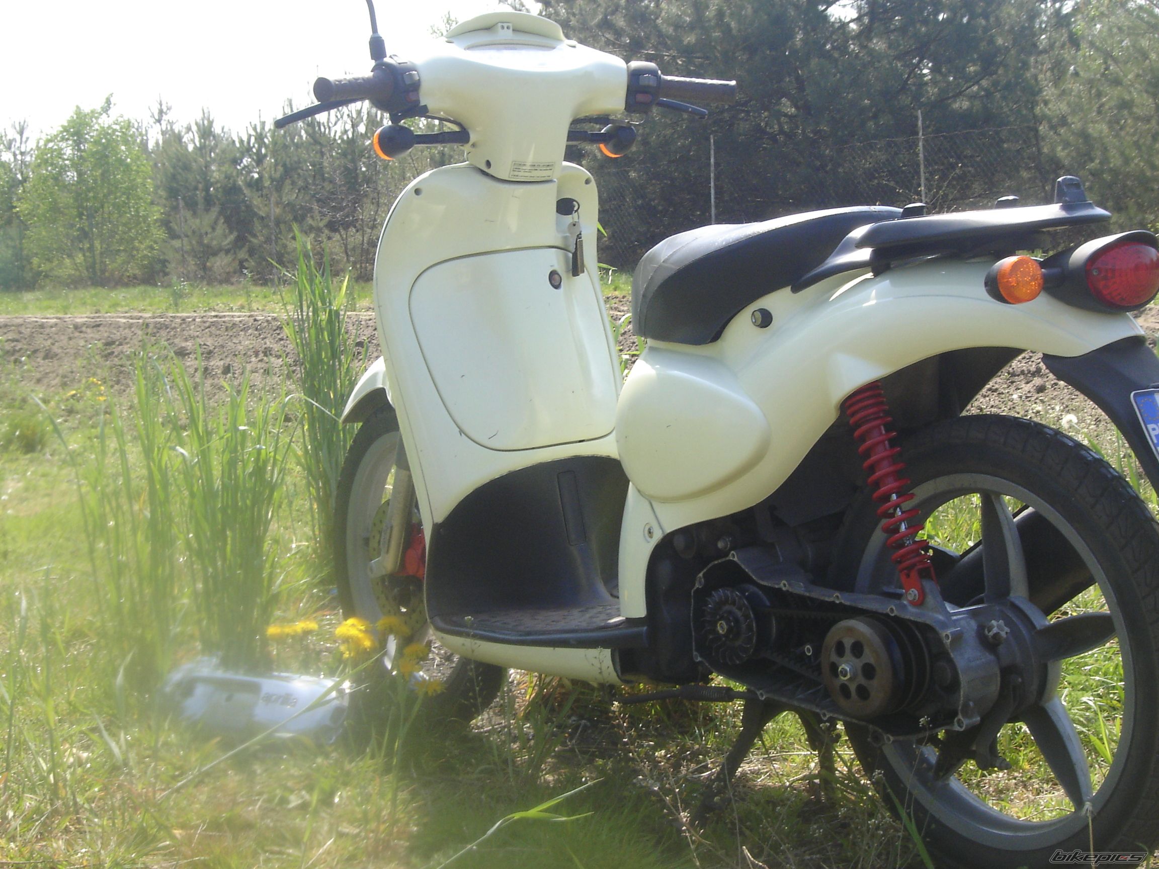 Photo 910776